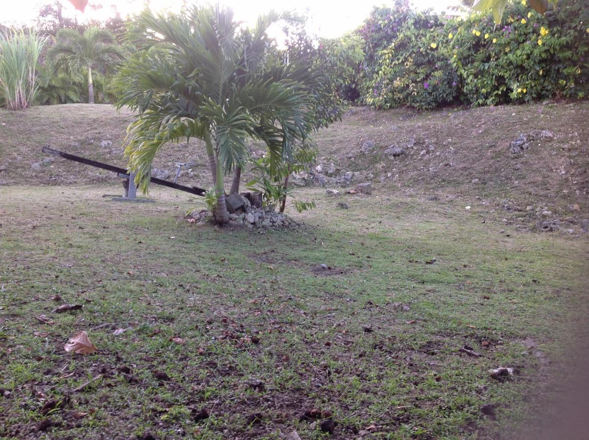 Location De Meubles Villa Morne-a-l'Eau Luaran gambar